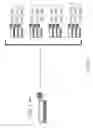 Fig. 20 - Cardiomyocyte production