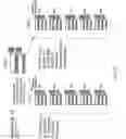 Fig. 23 - Cardiomyocyte production