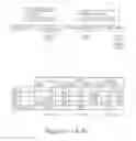 Fig. 02 - Trophoblast-derived mesenchymal stem cells (T-MSCs) produced from human embryonic stem cells, methods and uses thereof