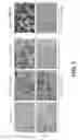 Fig. 10 - Paramyxovirus and Methods of Use