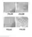 Fig. 11 - Paramyxovirus and Methods of Use