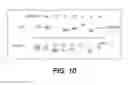 Fig. 13 - Paramyxovirus and Methods of Use