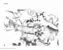 Fig. 02 - DNA POLYMERASE MUTANTS HAVING ENHANCED TEMPLATE DISCRIMINATION ACTIVITY
