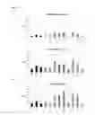 Fig. 08 - DNA POLYMERASE MUTANTS HAVING ENHANCED TEMPLATE DISCRIMINATION ACTIVITY