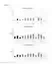 Fig. 12 - DNA POLYMERASE MUTANTS HAVING ENHANCED TEMPLATE DISCRIMINATION ACTIVITY