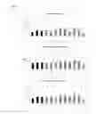 Fig. 23 - DNA POLYMERASE MUTANTS HAVING ENHANCED TEMPLATE DISCRIMINATION ACTIVITY