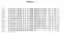 Fig. 02 - Methods for conducting primer extension using DNA polymerases with improved activity