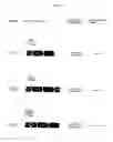 Fig. 02 - Intracellular protein delivery