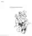Fig. 07 - ISOPRENE SYNTHASE VARIANTS FOR IMPROVED MICROBIAL PRODUCTION OF ISOPRENE