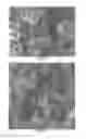 Fig. 02 - Water treatment processes using biocatalysts