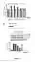 Fig. 09 - U1 snRNP regulates gene expression and modulates oncogenicity