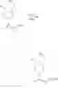 Fig. 33 - Ligand-conjugated monomers