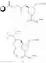 Fig. 40 - Ligand-conjugated monomers