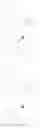 Fig. 63 - Ligand-conjugated monomers