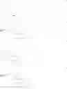 Fig. 80 - Ligand-conjugated monomers