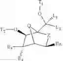 Fig. 06 - BICYCLIC CYCLOHEXOSE NUCLEIC ACID ANALOGS