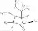 Fig. 07 - BICYCLIC CYCLOHEXOSE NUCLEIC ACID ANALOGS