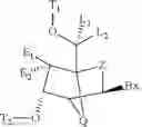 Fig. 09 - BICYCLIC CYCLOHEXOSE NUCLEIC ACID ANALOGS