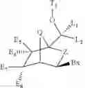 Fig. 22 - BICYCLIC CYCLOHEXOSE NUCLEIC ACID ANALOGS