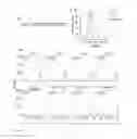 Fig. 09 - Aptamer-targetted antigen delivery
