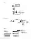 Fig. 06 - Sense oligonucleotide capable of controlling the expression of INOS and composition comprising the same