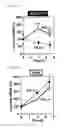 Fig. 07 - Sense oligonucleotide capable of controlling the expression of INOS and composition comprising the same