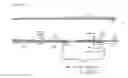 Fig. 08 - DNA plasmids with improved expression