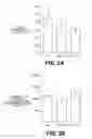 Fig. 04 - Lentiviral triplex DNA, and vectors and recombinant cells containing lentiviral triplex DNA