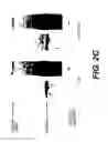 Fig. 05 - Lentiviral triplex DNA, and vectors and recombinant cells containing lentiviral triplex DNA