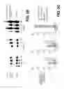 Fig. 07 - Lentiviral triplex DNA, and vectors and recombinant cells containing lentiviral triplex DNA