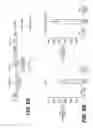 Fig. 09 - Lentiviral triplex DNA, and vectors and recombinant cells containing lentiviral triplex DNA
