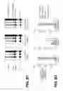 Fig. 10 - Lentiviral triplex DNA, and vectors and recombinant cells containing lentiviral triplex DNA
