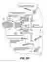 Fig. 12 - Lentiviral triplex DNA, and vectors and recombinant cells containing lentiviral triplex DNA