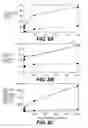 Fig. 15 - Lentiviral triplex DNA, and vectors and recombinant cells containing lentiviral triplex DNA