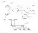 Fig. 02 - Essential Genes Encoding Conserved Metabolic Pathway Function in Autotrophic Solventogenic Clostridial Species