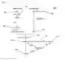 Fig. 03 - Essential Genes Encoding Conserved Metabolic Pathway Function in Autotrophic Solventogenic Clostridial Species