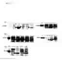 Fig. 08 - Method for producing methacrylic acid and/or ester thereof