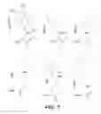Fig. 08 - COMPOSITIONS FOR IN SITU LABELING OF BACTERIAL CELL WALLS WITH FLUOROPHORES AND METHODS OF USE THEREOF