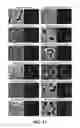 Fig. 19 - COMPOSITIONS FOR IN SITU LABELING OF BACTERIAL CELL WALLS WITH FLUOROPHORES AND METHODS OF USE THEREOF