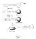 Fig. 02 - Self-immolative probes for enzyme activity detection