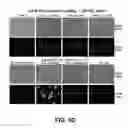 Fig. 07 - Self-immolative probes for enzyme activity detection