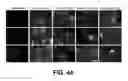 Fig. 08 - Self-immolative probes for enzyme activity detection