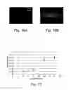 Fig. 16 - Method and devices for detecting macroions in a liquid medium