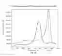 Fig. 08 - Polymerization of nucleic acids using activation by polyphosphorolysis (APP) reactions
