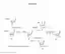 Fig. 35 - Methods and compositions for incorporating nucleotides