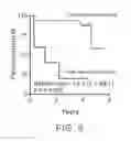 Fig. 07 - MOLECULAR MARKERS FOR PROGNOSTICALLY PREDICTING PROSTATE CANCER, METHOD AND KIT THEREOF