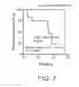 Fig. 08 - MOLECULAR MARKERS FOR PROGNOSTICALLY PREDICTING PROSTATE CANCER, METHOD AND KIT THEREOF
