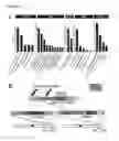 Fig. 02 - RAF gene fusions