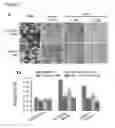Fig. 09 - RAF gene fusions