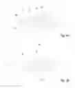 Fig. 05 - Pelt board with expansion means